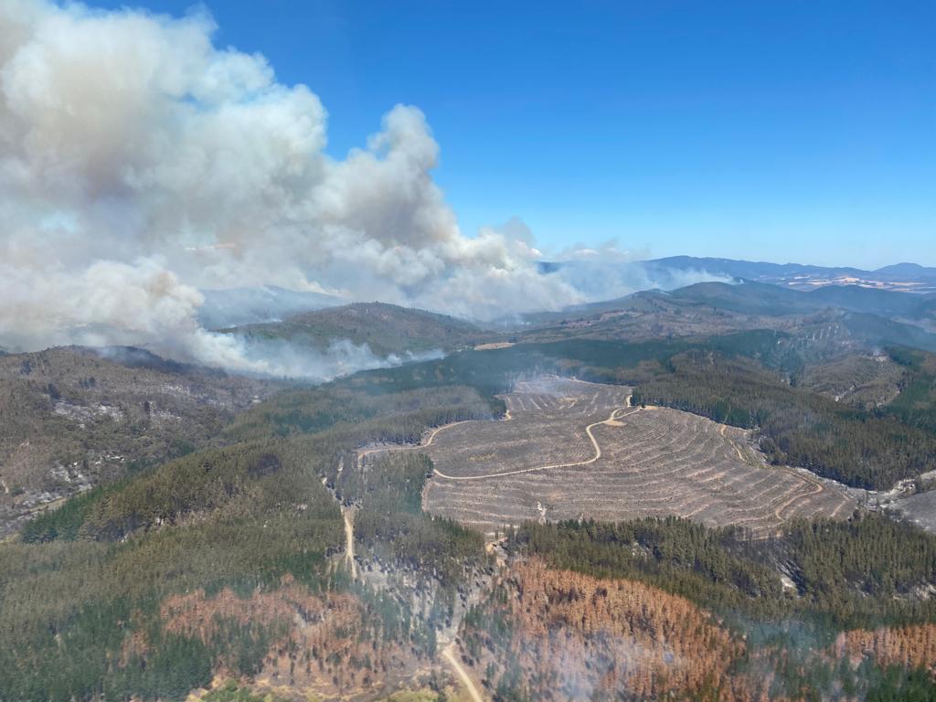 Una mala Ley de Incendios no evitará tragedias