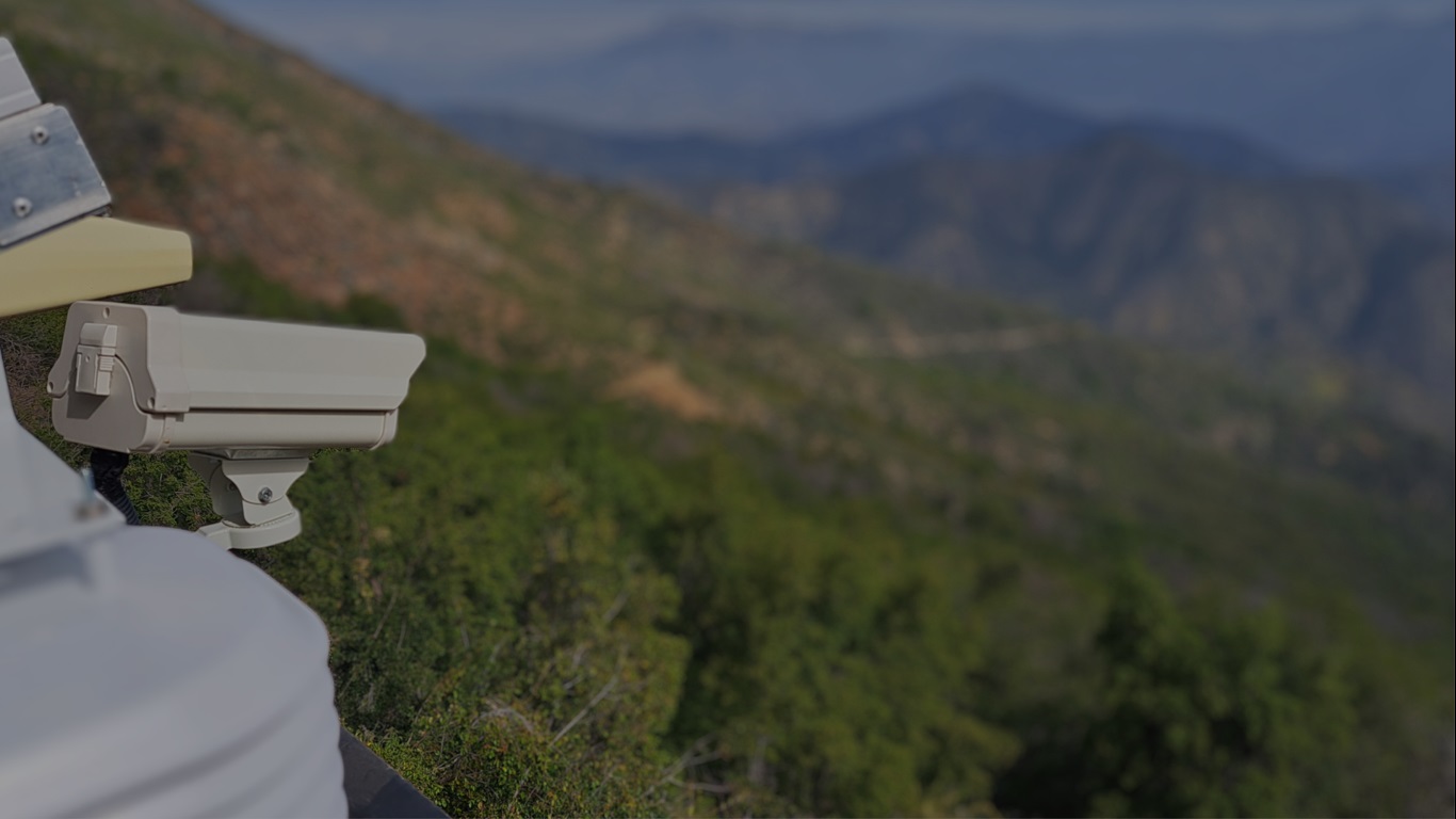 PhenChile: la nueva herramienta de monitoreo fenológico para la gestión ambiental