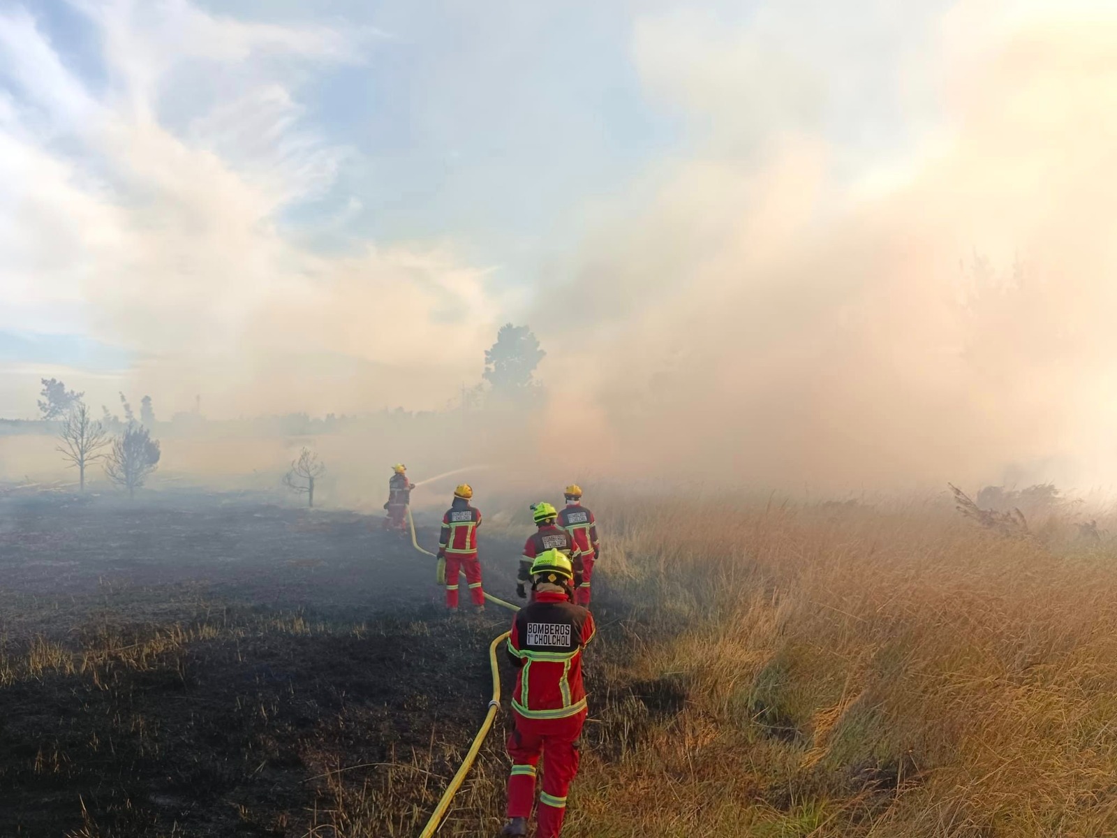 12 Proyectos Científicos Impulsan la Prevención y Recuperación de Bosques Afectados por Incendios Forestales